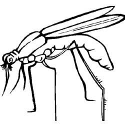 Disegno da colorare: Zanzara (Animali) #11324 - Pagine da Colorare Stampabili Gratuite
