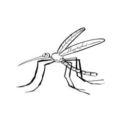 Disegno da colorare: Zanzara (Animali) #11326 - Pagine da Colorare Stampabili Gratuite