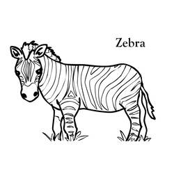 Disegno da colorare: Zebra (Animali) #12938 - Pagine da Colorare Stampabili Gratuite