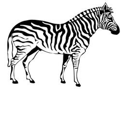 Disegno da colorare: Zebra (Animali) #12940 - Pagine da Colorare Stampabili Gratuite
