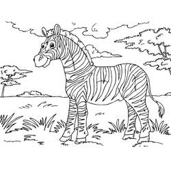 Disegno da colorare: Zebra (Animali) #12943 - Pagine da Colorare Stampabili Gratuite