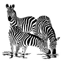 Disegno da colorare: Zebra (Animali) #12955 - Pagine da Colorare Stampabili Gratuite