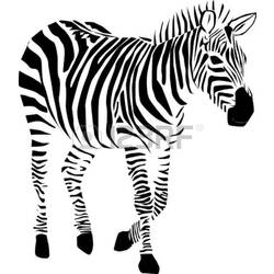 Disegno da colorare: Zebra (Animali) #12957 - Pagine da Colorare Stampabili Gratuite