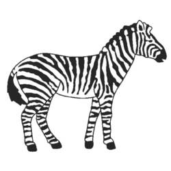 Disegno da colorare: Zebra (Animali) #12964 - Pagine da Colorare Stampabili Gratuite