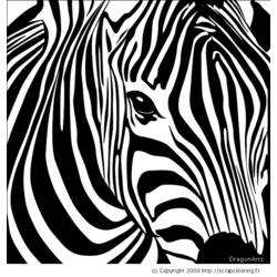 Disegno da colorare: Zebra (Animali) #12965 - Pagine da Colorare Stampabili Gratuite