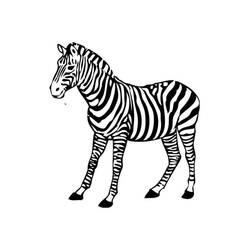 Disegno da colorare: Zebra (Animali) #12972 - Pagine da Colorare Stampabili Gratuite