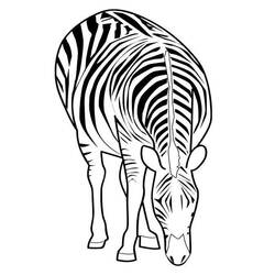 Disegno da colorare: Zebra (Animali) #12977 - Pagine da Colorare Stampabili Gratuite