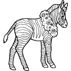 Disegno da colorare: Zebra (Animali) #12979 - Pagine da Colorare Stampabili Gratuite