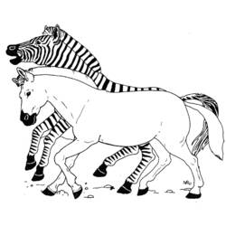 Disegno da colorare: Zebra (Animali) #12981 - Pagine da Colorare Stampabili Gratuite