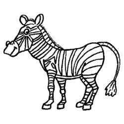 Disegno da colorare: Zebra (Animali) #12983 - Pagine da Colorare Stampabili Gratuite