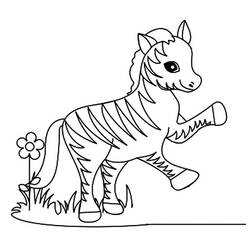 Disegno da colorare: Zebra (Animali) #12986 - Pagine da Colorare Stampabili Gratuite