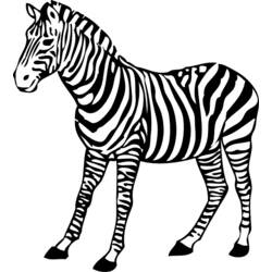 Disegno da colorare: Zebra (Animali) #12992 - Pagine da Colorare Stampabili Gratuite