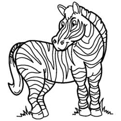 Disegno da colorare: Zebra (Animali) #13008 - Pagine da Colorare Stampabili Gratuite