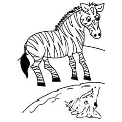 Disegno da colorare: Zebra (Animali) #13013 - Pagine da Colorare Stampabili Gratuite
