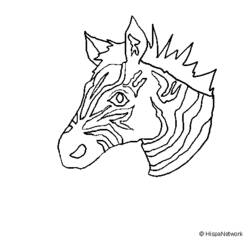 Disegno da colorare: Zebra (Animali) #13017 - Pagine da Colorare Stampabili Gratuite