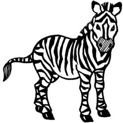 Disegno da colorare: Zebra (Animali) #13019 - Pagine da Colorare Stampabili Gratuite