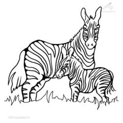 Disegno da colorare: Zebra (Animali) #13023 - Pagine da Colorare Stampabili Gratuite
