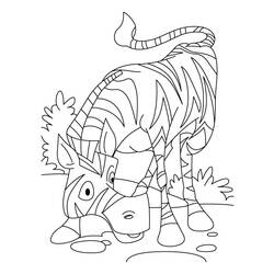 Disegno da colorare: Zebra (Animali) #13024 - Pagine da Colorare Stampabili Gratuite