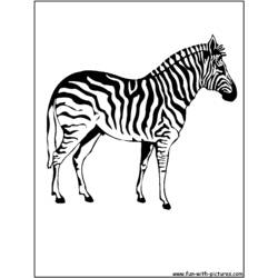 Disegno da colorare: Zebra (Animali) #13037 - Pagine da Colorare Stampabili Gratuite