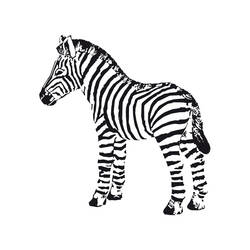 Disegno da colorare: Zebra (Animali) #13042 - Pagine da Colorare Stampabili Gratuite