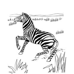 Disegno da colorare: Zebra (Animali) #13053 - Pagine da Colorare Stampabili Gratuite