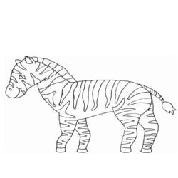 Disegno da colorare: Zebra (Animali) #13065 - Pagine da Colorare Stampabili Gratuite