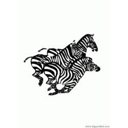 Disegno da colorare: Zebra (Animali) #13067 - Pagine da Colorare Stampabili Gratuite