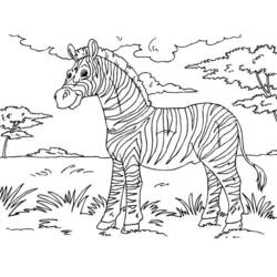 Disegno da colorare: Zebra (Animali) #13087 - Pagine da Colorare Stampabili Gratuite