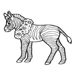 Disegno da colorare: Zebra (Animali) #13097 - Pagine da Colorare Stampabili Gratuite
