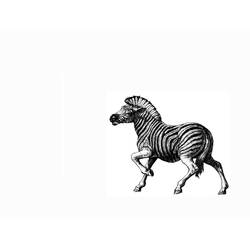 Disegno da colorare: Zebra (Animali) #13100 - Pagine da Colorare Stampabili Gratuite