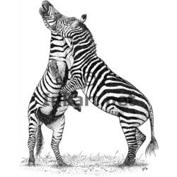 Disegno da colorare: Zebra (Animali) #13122 - Pagine da Colorare Stampabili Gratuite