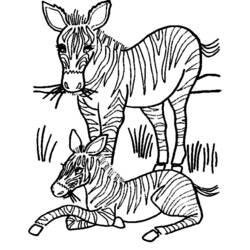 Disegno da colorare: Zebra (Animali) #13130 - Pagine da Colorare Stampabili Gratuite
