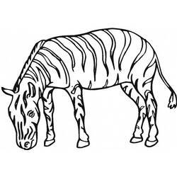 Disegno da colorare: Zebra (Animali) #13133 - Pagine da Colorare Stampabili Gratuite