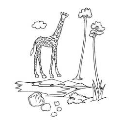 Disegno da colorare: Zoo (Animali) #12652 - Pagine da Colorare Stampabili Gratuite