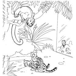 Disegno da colorare: Zoo (Animali) #12668 - Pagine da Colorare Stampabili Gratuite