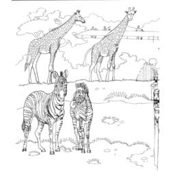 Disegno da colorare: Zoo (Animali) #12677 - Pagine da Colorare Stampabili Gratuite