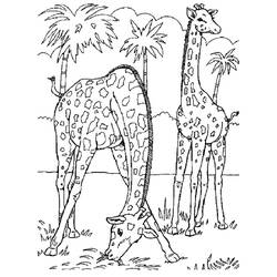 Disegno da colorare: Zoo (Animali) #12703 - Pagine da Colorare Stampabili Gratuite