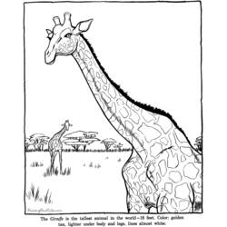 Disegno da colorare: Zoo (Animali) #12741 - Pagine da Colorare Stampabili Gratuite