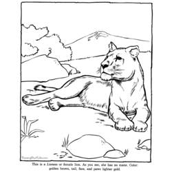 Disegno da colorare: Zoo (Animali) #12795 - Pagine da Colorare Stampabili Gratuite