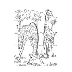 Disegno da colorare: Zoo (Animali) #12814 - Pagine da Colorare Stampabili Gratuite