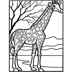 Disegno da colorare: Zoo (Animali) #12818 - Pagine da Colorare Stampabili Gratuite
