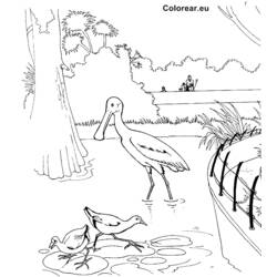 Disegno da colorare: Zoo (Animali) #12833 - Pagine da Colorare Stampabili Gratuite