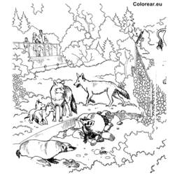 Disegno da colorare: Zoo (Animali) #12848 - Pagine da Colorare Stampabili Gratuite
