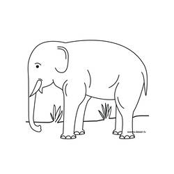 Disegno da colorare: Zoo (Animali) #12878 - Pagine da Colorare Stampabili Gratuite
