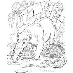 Disegno da colorare: Zoo (Animali) #12903 - Pagine da Colorare Stampabili Gratuite