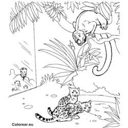 Disegno da colorare: Zoo (Animali) #12916 - Pagine da Colorare Stampabili Gratuite