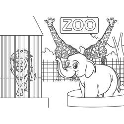 Disegno da colorare: Zoo (Animali) #201719 - Pagine da Colorare Stampabili Gratuite