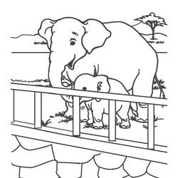 Disegno da colorare: Zoo (Animali) #201731 - Pagine da Colorare Stampabili Gratuite