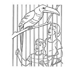 Disegno da colorare: Zoo (Animali) #201745 - Pagine da Colorare Stampabili Gratuite