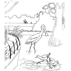 Disegno da colorare: Zoo (Animali) #201746 - Pagine da Colorare Stampabili Gratuite
